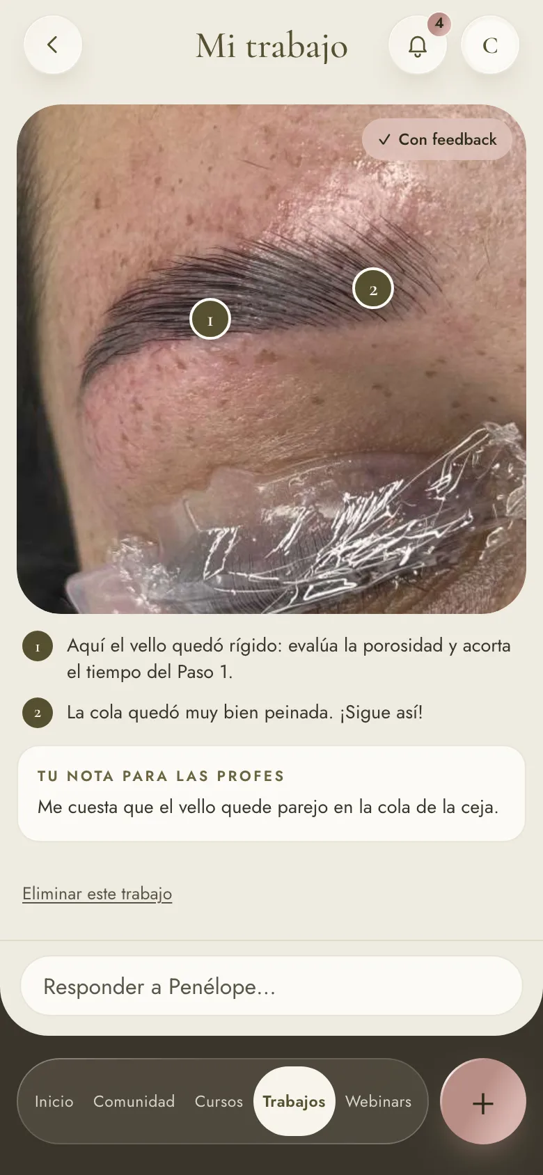 Ejemplo de cómo se ven los comentarios de Penélope sobre la foto de un trabajo
